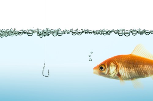 the goldfish and the hook